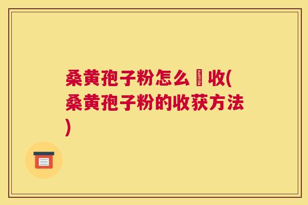 桑黄孢子粉怎么釆收(桑黄孢子粉的收获方法)