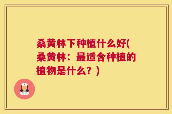 桑黄林下种植什么好(桑黄林：适合种植的植物是什么？)