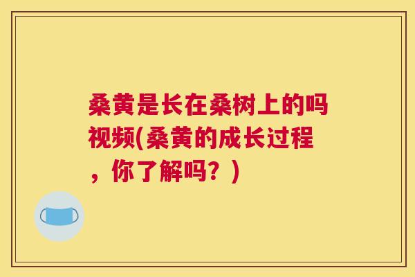 桑黄是长在桑树上的吗视频(桑黄的成长过程，你了解吗？)