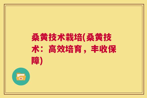 桑黄技术栽培(桑黄技术：高效培育，丰收保障)