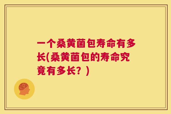 一个桑黄菌包寿命有多长(桑黄菌包的寿命究竟有多长？)