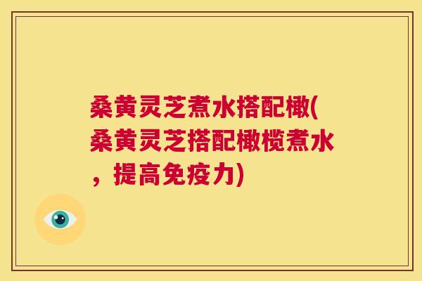 桑黄灵芝煮水搭配橄(桑黄灵芝搭配橄榄煮水，提高力)