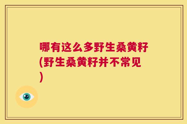哪有这么多野生桑黄籽(野生桑黄籽并不常见)