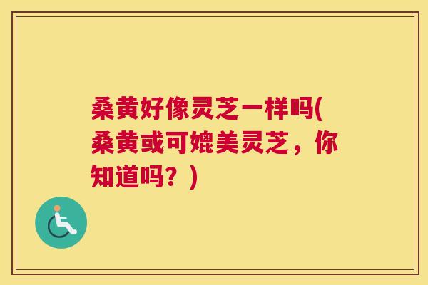 桑黄好像灵芝一样吗(桑黄或可媲美灵芝，你知道吗？)