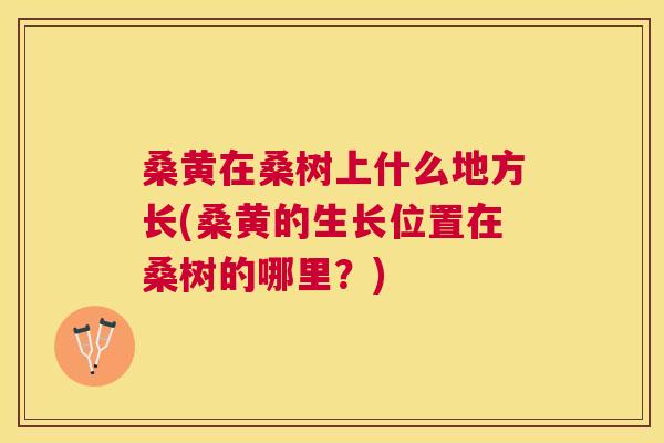 桑黄在桑树上什么地方长(桑黄的生长位置在桑树的哪里？)
