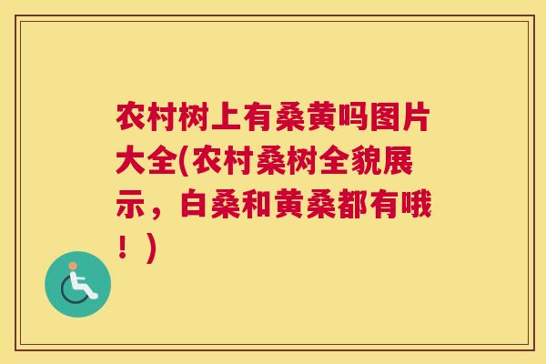 农村树上有桑黄吗图片大全(农村桑树全貌展示，白桑和黄桑都有哦！)