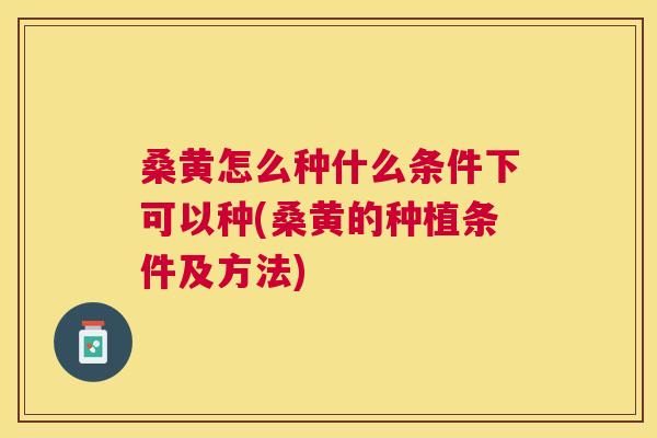 桑黄怎么种什么条件下可以种(桑黄的种植条件及方法)
