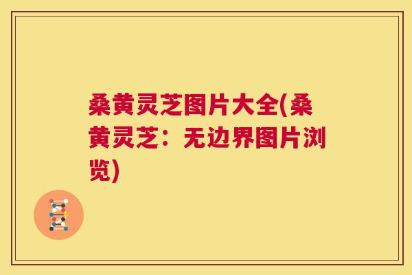 桑黄灵芝图片大全(桑黄灵芝：无边界图片浏览)