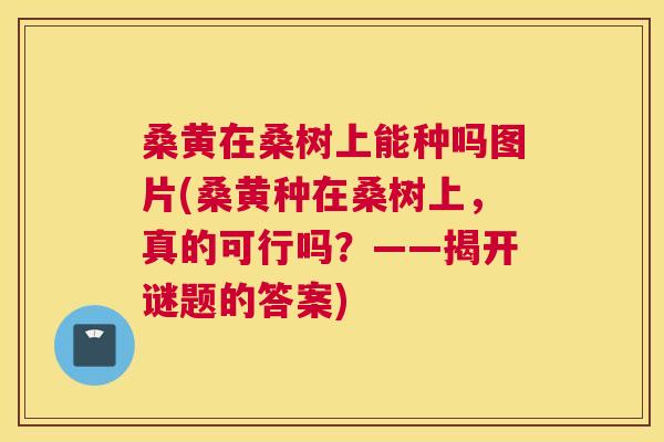桑黄在桑树上能种吗图片(桑黄种在桑树上，真的可行吗？——揭开谜题的答案)