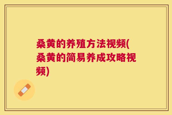 桑黄的养殖方法视频(桑黄的简易养成攻略视频)