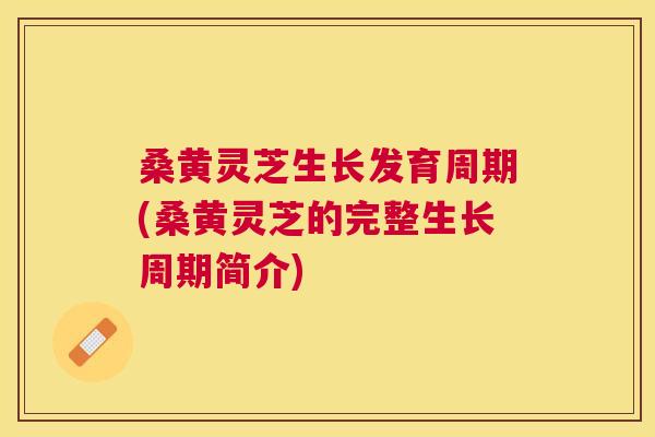 桑黄灵芝生长发育周期(桑黄灵芝的完整生长周期简介)
