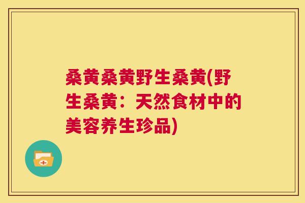 桑黄桑黄野生桑黄(野生桑黄：天然食材中的美容养生珍品)
