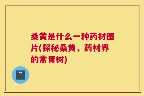 桑黄是什么一种药材图片(探秘桑黄，药材界的常青树)