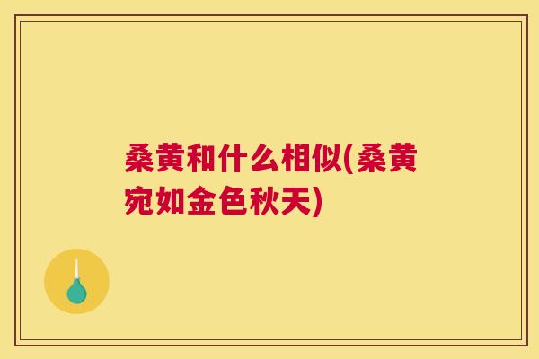 桑黄和什么相似(桑黄宛如金色秋天)