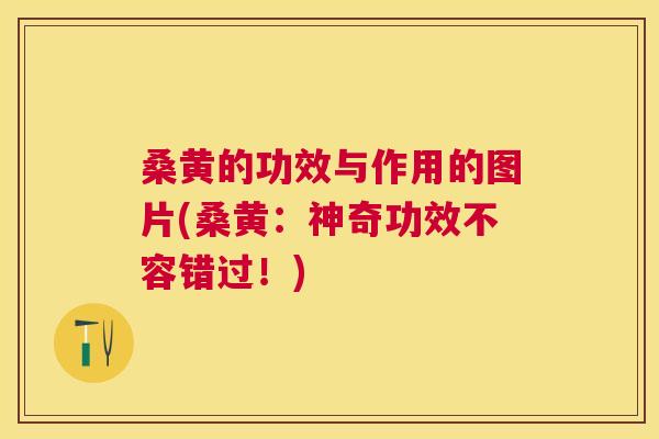 桑黄的功效与作用的图片(桑黄：神奇功效不容错过！)