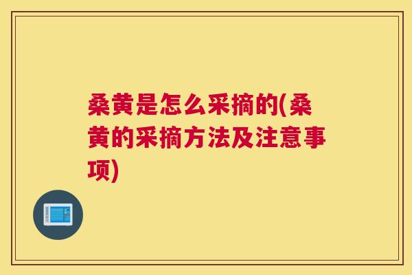 桑黄是怎么采摘的(桑黄的采摘方法及注意事项)