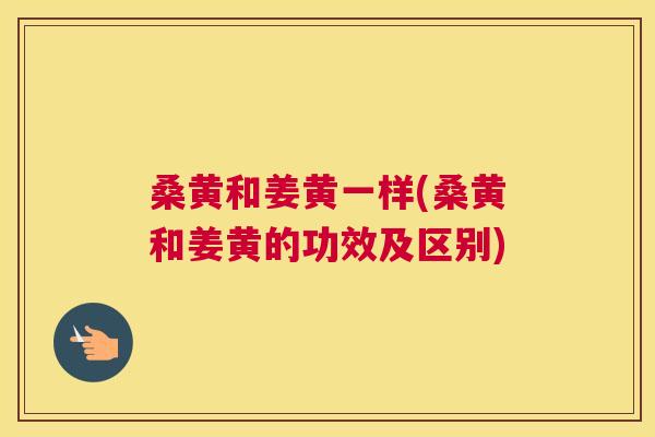 桑黄和姜黄一样(桑黄和姜黄的功效及区别)