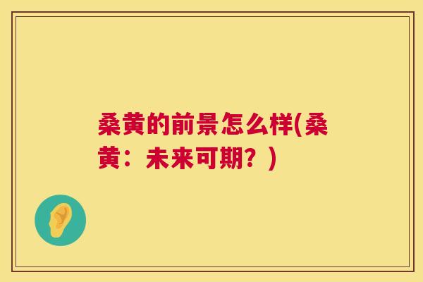 桑黄的前景怎么样(桑黄：未来可期？)
