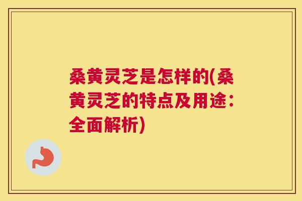 桑黄灵芝是怎样的(桑黄灵芝的特点及用途：全面解析)