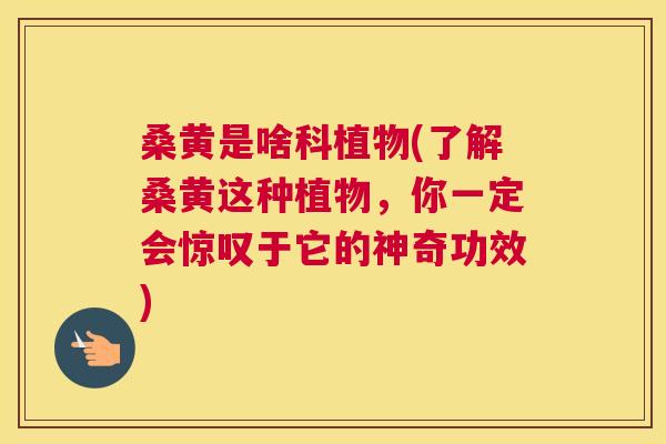桑黄是啥科植物(了解桑黄这种植物，你一定会惊叹于它的神奇功效)