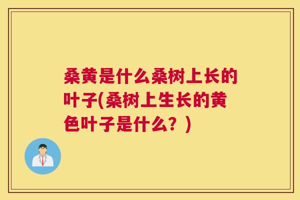 桑黄是什么桑树上长的叶子(桑树上生长的黄色叶子是什么？)