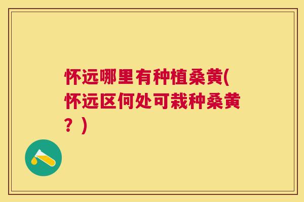 怀远哪里有种植桑黄(怀远区何处可栽种桑黄？)