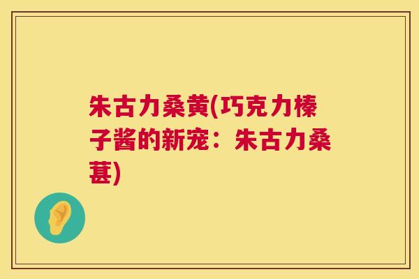 朱古力桑黄(巧克力榛子酱的新宠：朱古力桑葚)
