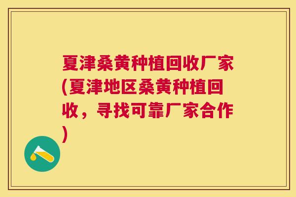 夏津桑黄种植回收厂家(夏津地区桑黄种植回收，寻找可靠厂家合作)
