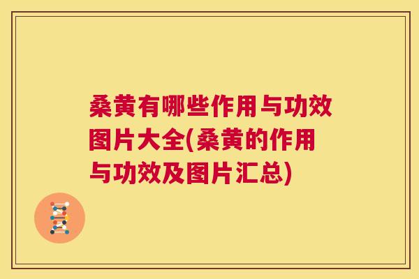 桑黄有哪些作用与功效图片大全(桑黄的作用与功效及图片汇总)