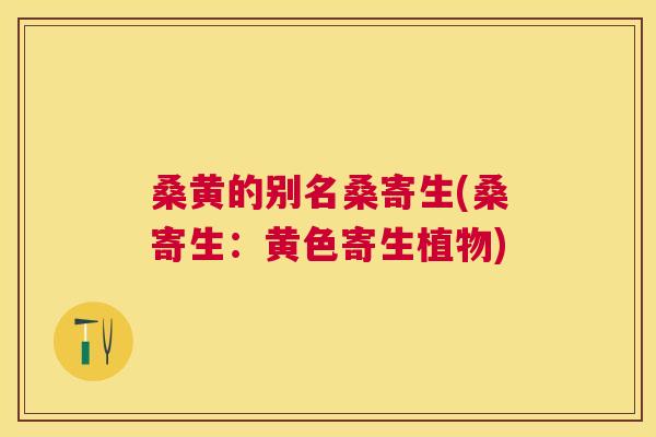 桑黄的别名桑寄生(桑寄生：黄色寄生植物)