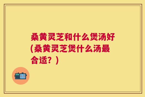 桑黄灵芝和什么煲汤好(桑黄灵芝煲什么汤合适？)