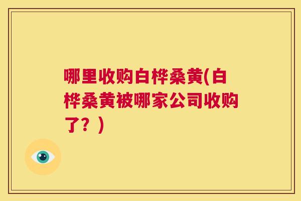 哪里收购白桦桑黄(白桦桑黄被哪家公司收购了？)