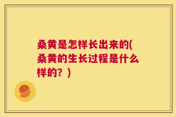 桑黄是怎样长出来的(桑黄的生长过程是什么样的？)