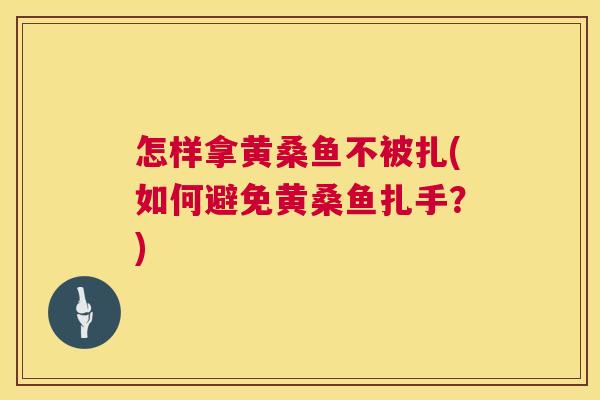 怎样拿黄桑鱼不被扎(如何避免黄桑鱼扎手？)