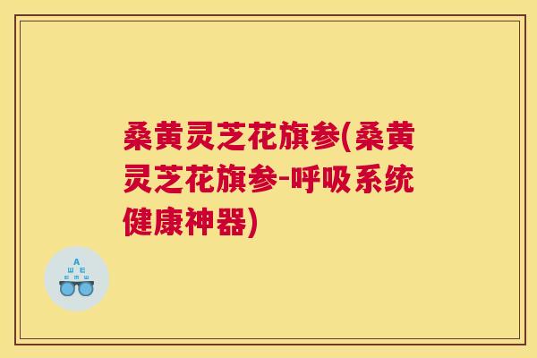桑黄灵芝花旗参(桑黄灵芝花旗参-系统健康神器)