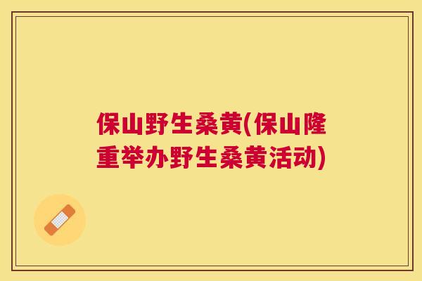 保山野生桑黄(保山隆重举办野生桑黄活动)