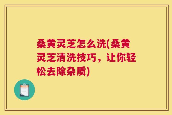 桑黄灵芝怎么洗(桑黄灵芝清洗技巧，让你轻松去除杂质)
