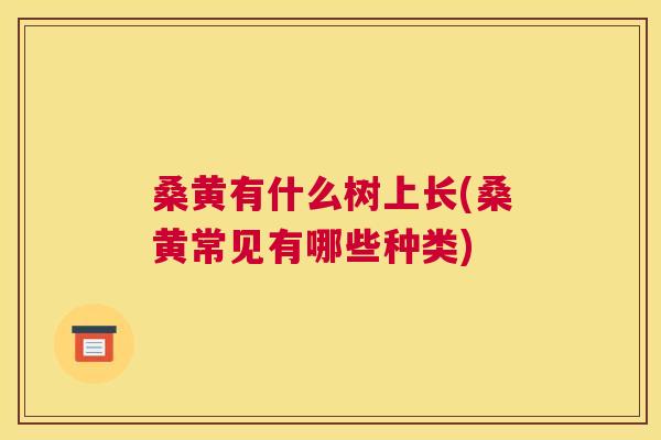 桑黄有什么树上长(桑黄常见有哪些种类)