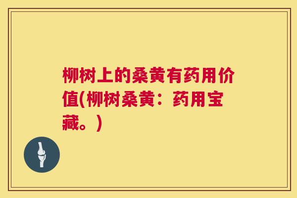 柳树上的桑黄有药用价值(柳树桑黄：药用宝藏。)