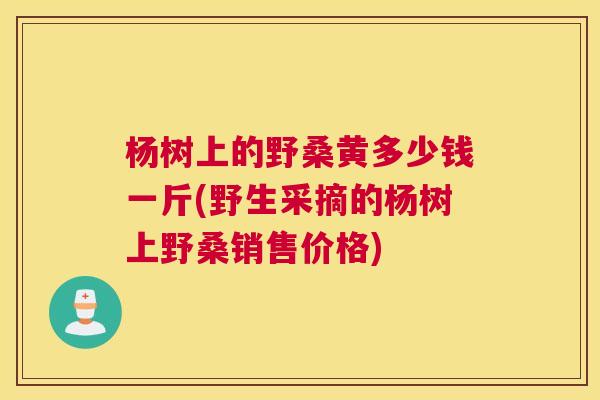 杨树上的野桑黄多少钱一斤(野生采摘的杨树上野桑销售价格)