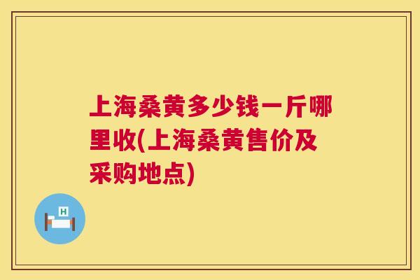 上海桑黄多少钱一斤哪里收(上海桑黄售价及采购地点)