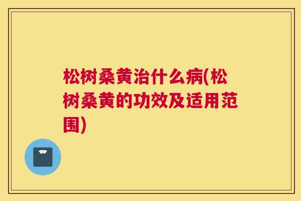 松树桑黄什么(松树桑黄的功效及适用范围)