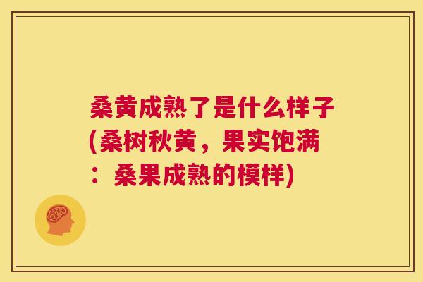 桑黄成熟了是什么样子(桑树秋黄，果实饱满：桑果成熟的模样)