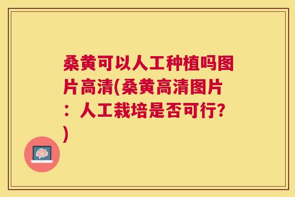 桑黄可以人工种植吗图片高清(桑黄高清图片：人工栽培是否可行？)