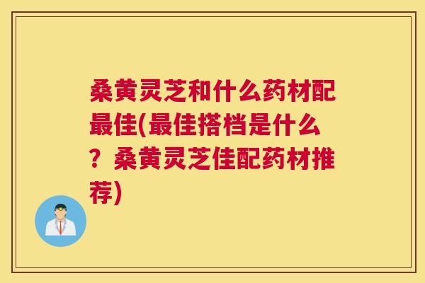 桑黄灵芝和什么药材配佳(佳搭档是什么？桑黄灵芝佳配药材推荐)