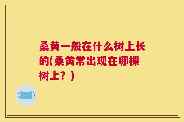 桑黄一般在什么树上长的(桑黄常出现在哪棵树上？)