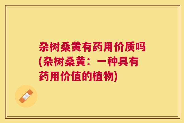 杂树桑黄有药用价质吗(杂树桑黄：一种具有药用价值的植物)