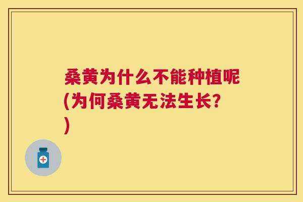 桑黄为什么不能种植呢(为何桑黄无法生长？)