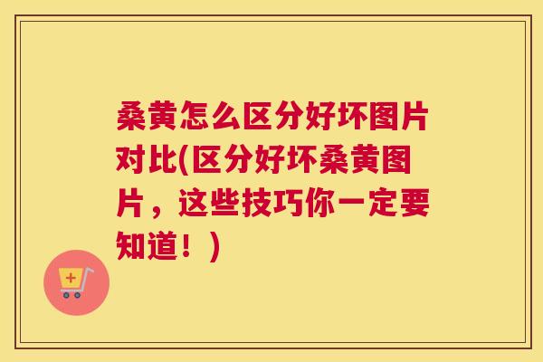 桑黄怎么区分好坏图片对比(区分好坏桑黄图片，这些技巧你一定要知道！)