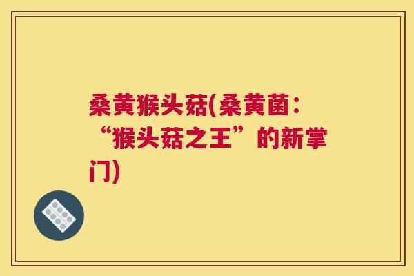 桑黄猴头菇(桑黄菌：“猴头菇之王”的新掌门)